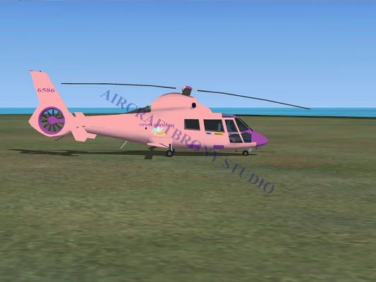 Spoiled Rich Aerospatiale HH65 Dolphin (Digital Image) Digital Image