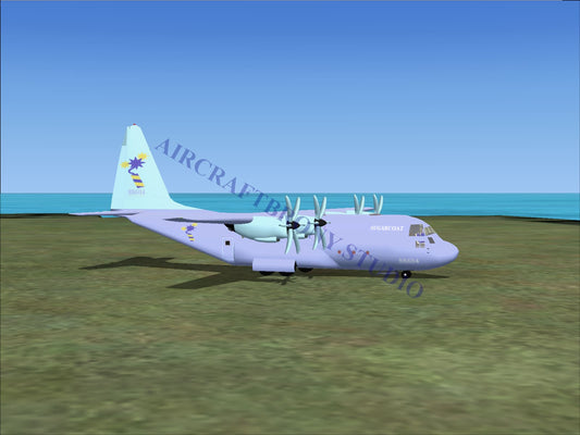 Sugarcoat Lockheed C-130 (Digital Image) Digital Image