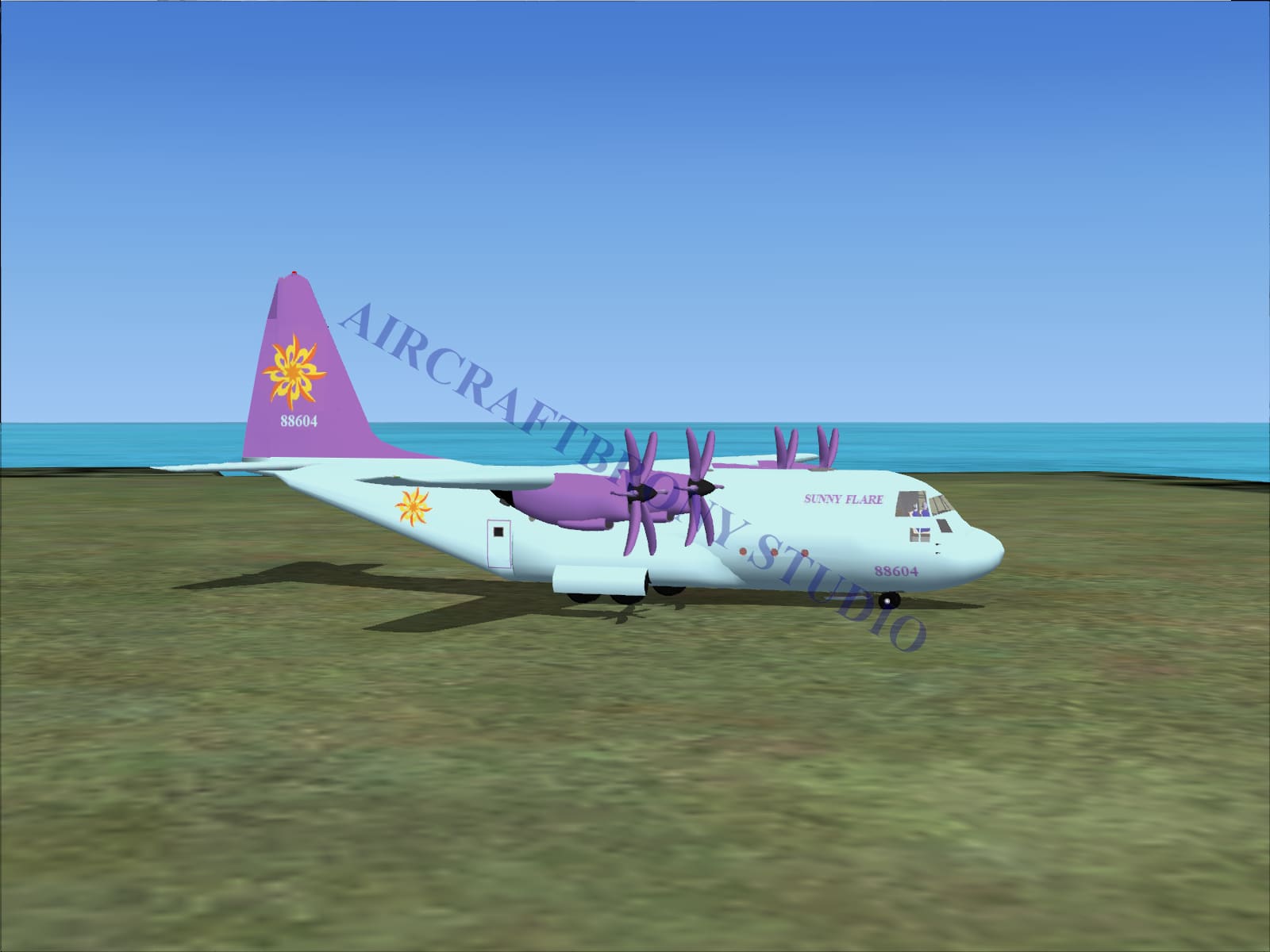 Sunny Flare Lockheed C-130 (Digital Image) Digital Image