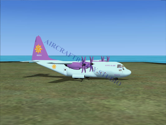 Sunny Flare Lockheed C-130 (Digital Image) Digital Image