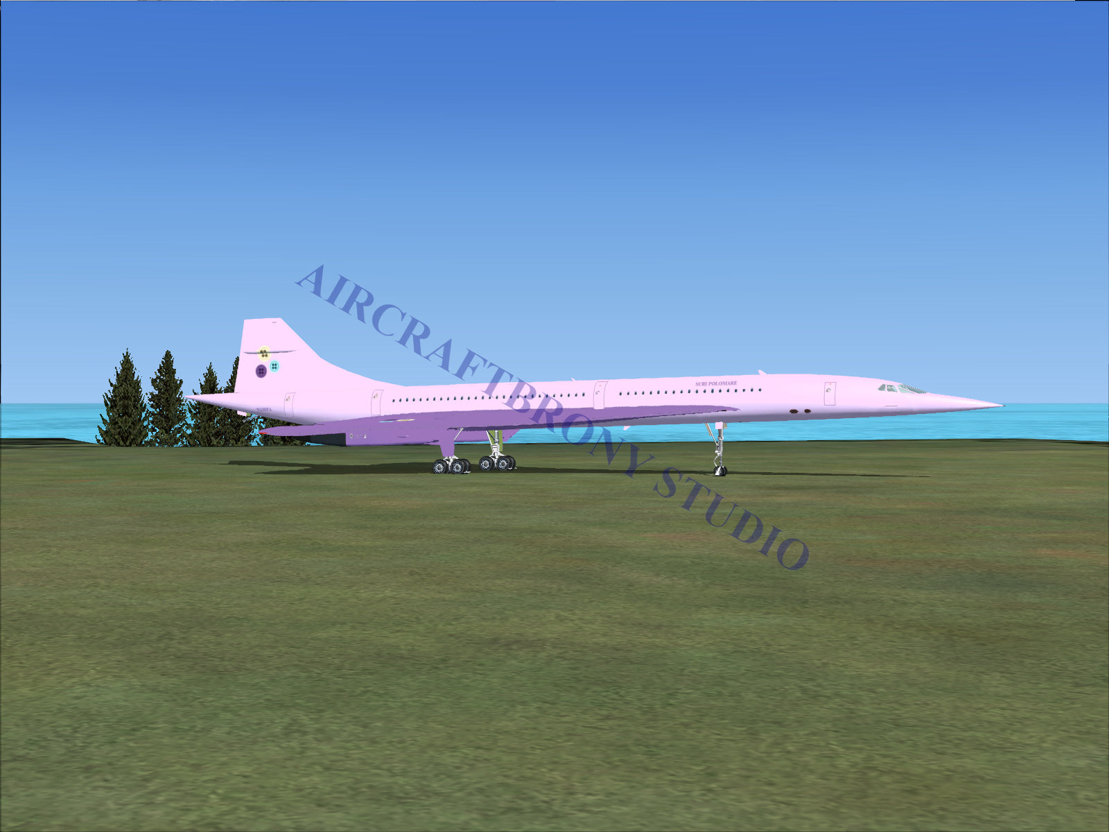 Suri Polomare Aerospatiale Concorde (Digital Image) Digital Image