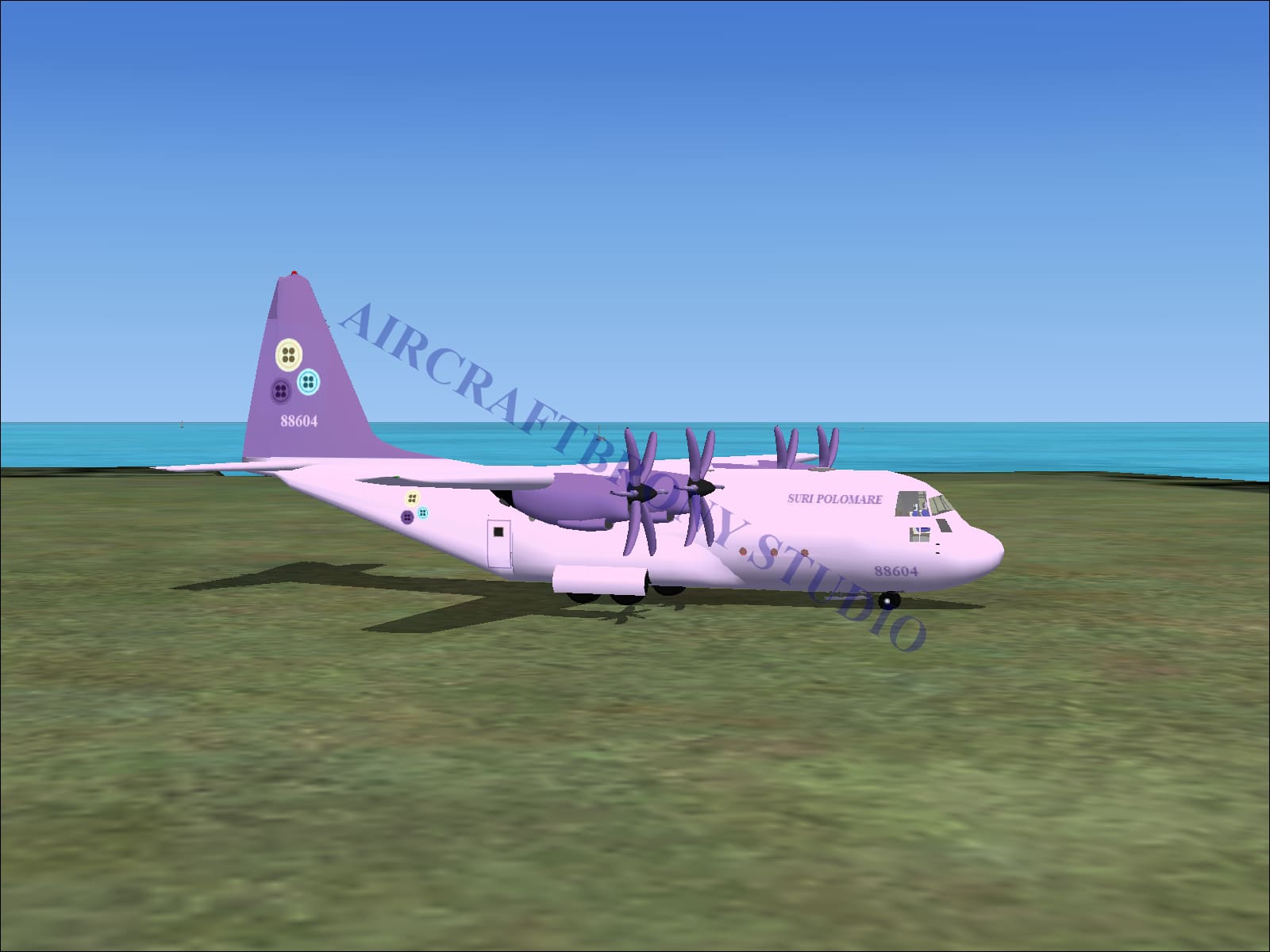 Suri Polomare Lockheed C-130 (Digital Image) Digital Image