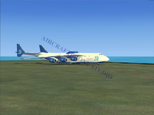 Blue and white cargo plane with large wheels, designed for heavy loads.