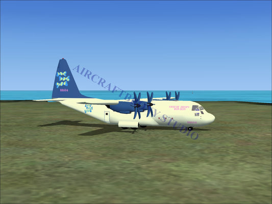 Sweetie Drops/Bon-Bon Lockheed C-130 (Digital Image) Digital Image