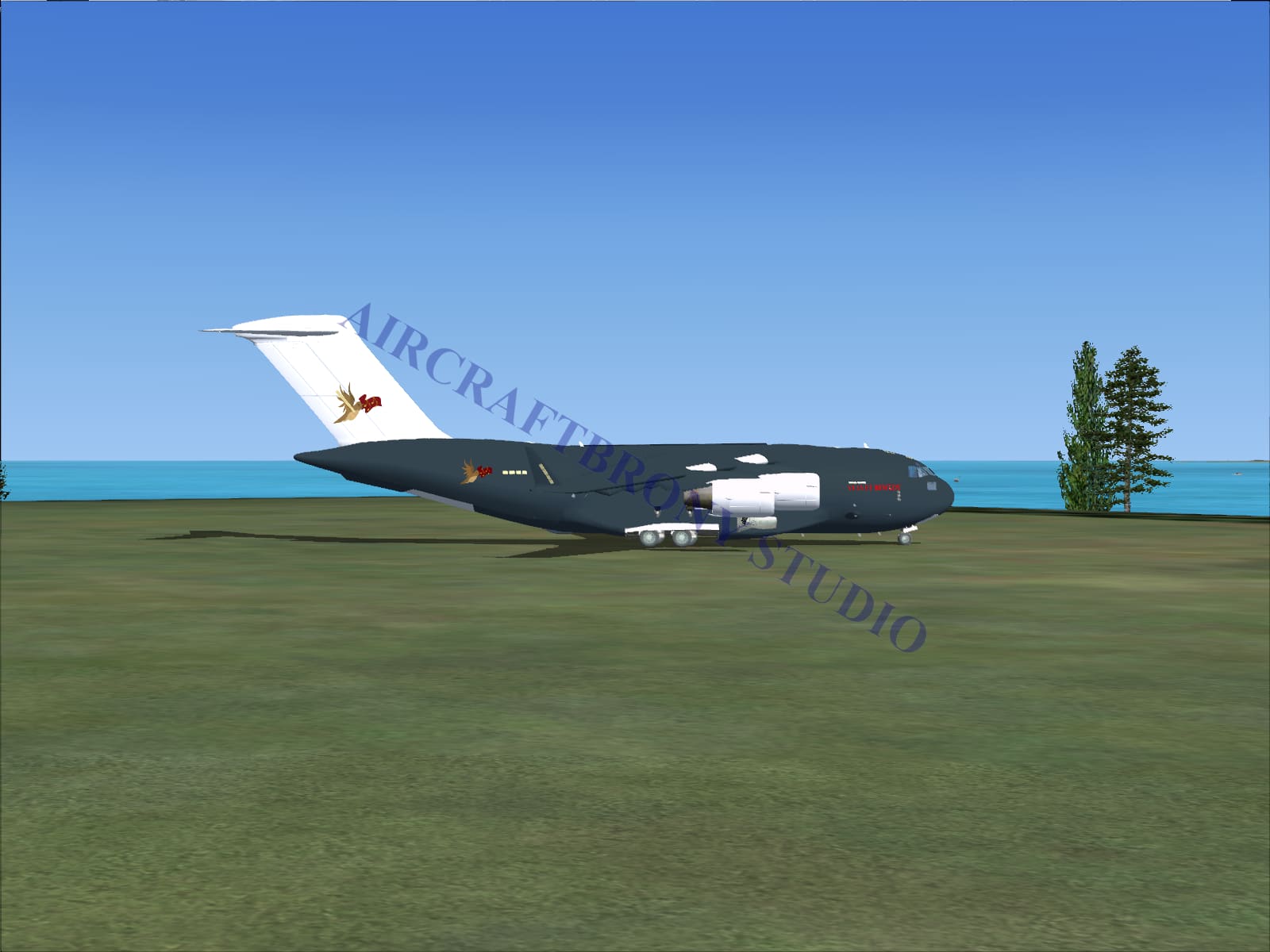 Velvet Remedy Boeing C-17 (Digital Image) Digital Image