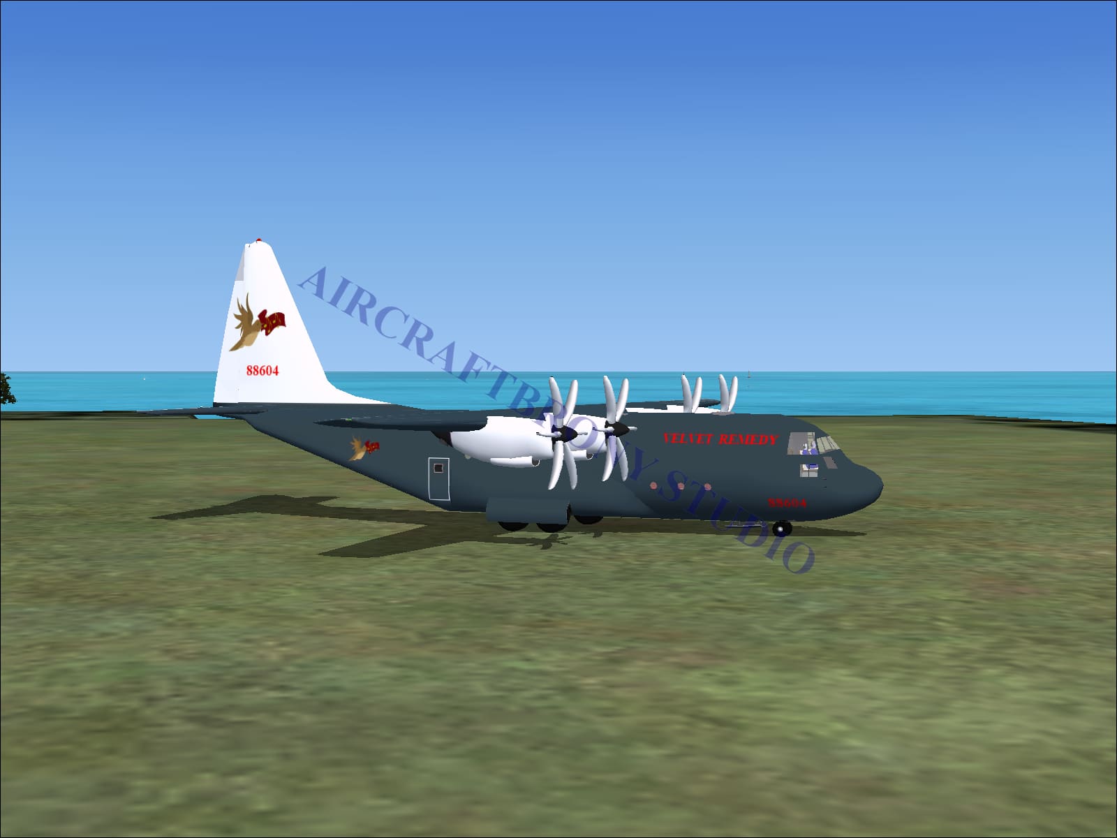 Velvet Remedy Lockheed C-130 (Digital Image) Digital Image