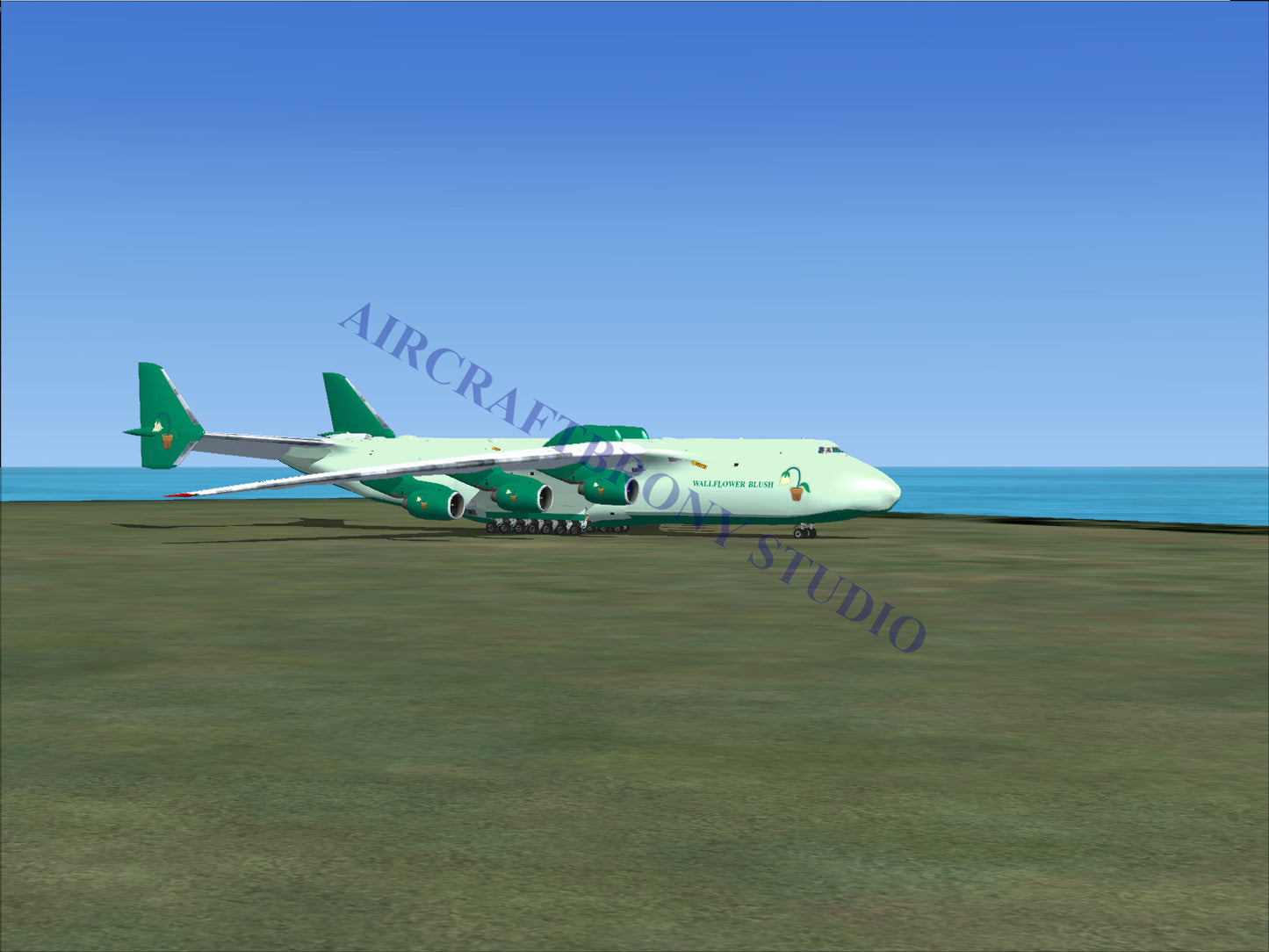 Green and white cargo plane with large wheels, parked on tarmac near ocean.