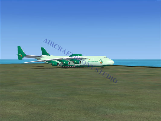 Green and white cargo plane with large wheels, parked on tarmac near ocean.