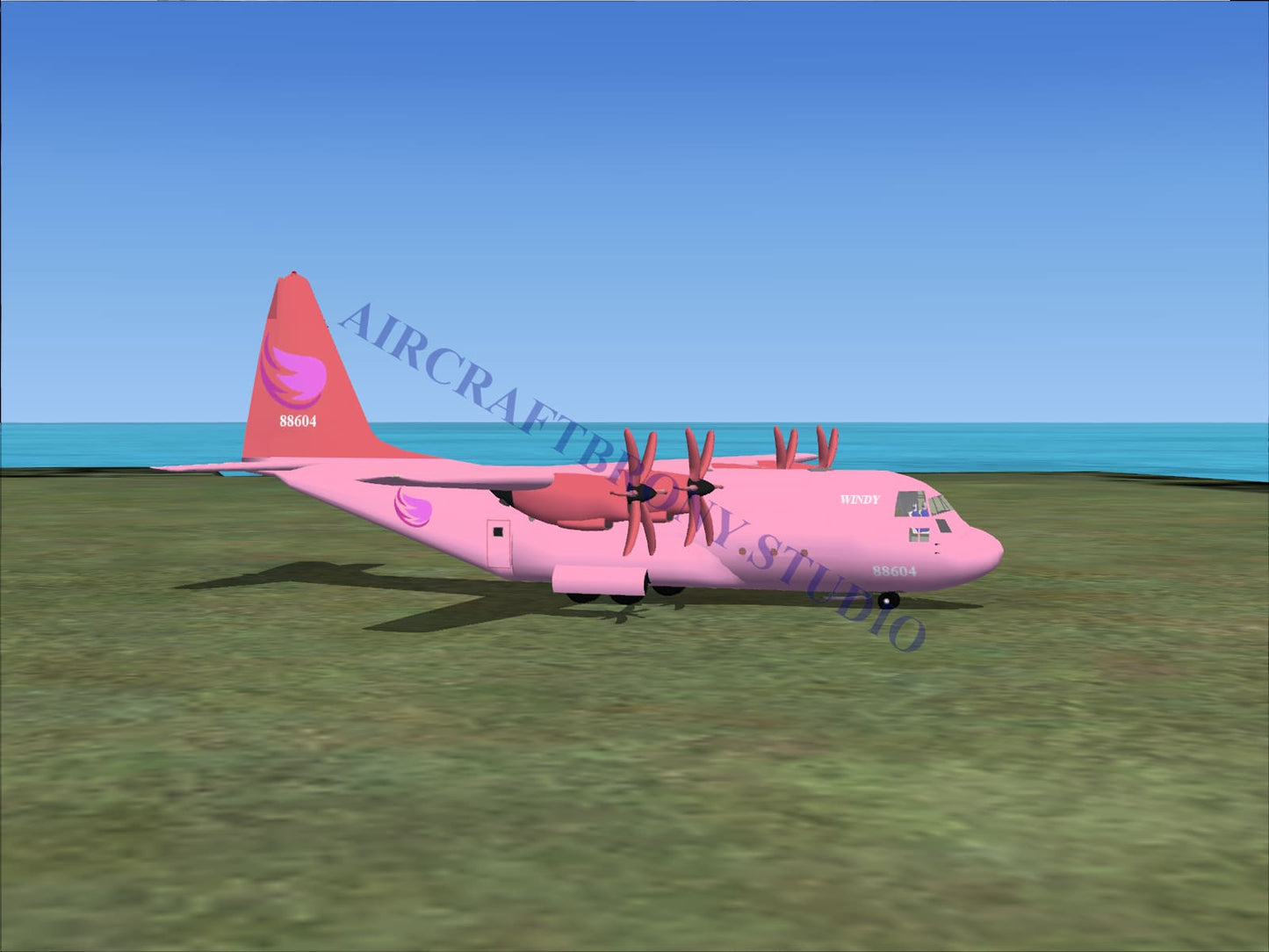 Windy Lockheed C-130 (Digital Image) Digital Image